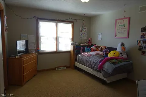 42270 Biggs Rd, Lagrange, OH 44050 photo 26