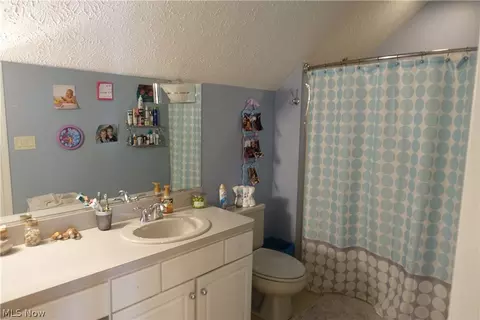 42270 Biggs Rd, Lagrange, OH 44050 photo 28
