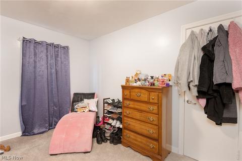 666 Plainfield Rd, Akron, OH 44312 photo 13