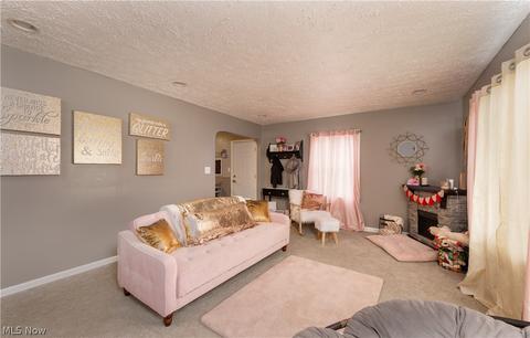 666 Plainfield Rd, Akron, OH 44312 photo 3