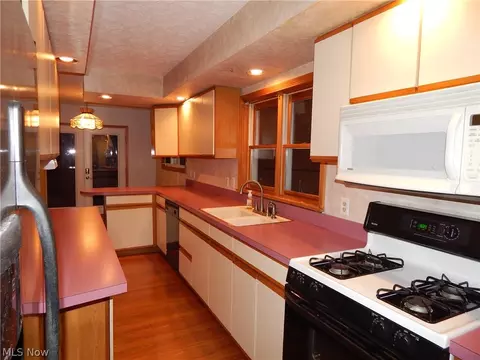 7246 Jackson St, Mentor, OH 44060 photo 7