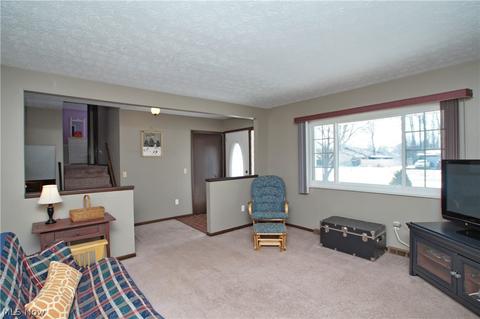 2891 Pine Ct, Perry, OH 44081 photo 16