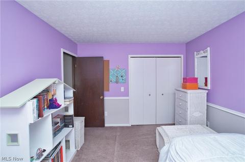 2891 Pine Ct, Perry, OH 44081 photo 28