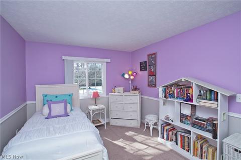 2891 Pine Ct, Perry, OH 44081 photo 29