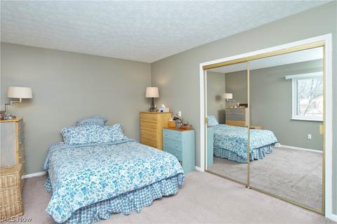 2891 Pine Ct, Perry, OH 44081 photo 30
