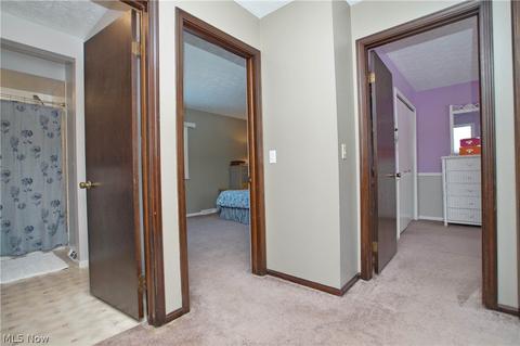 2891 Pine Ct, Perry, OH 44081 photo 25