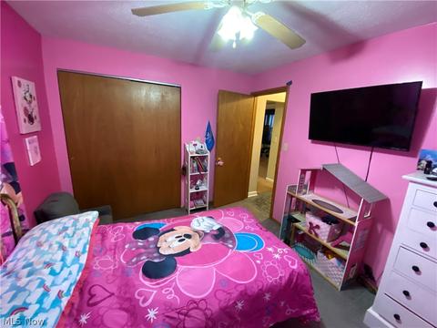 2048 Beach Dr, Akron, OH 44312 photo 11