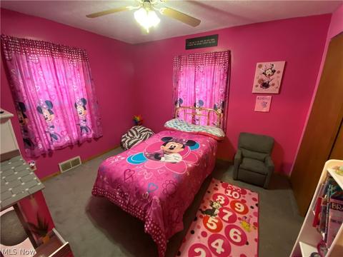 2048 Beach Dr, Akron, OH 44312 photo 10