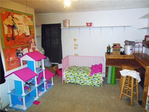 1175 Maple Ave, Madison, OH 44057 photo 11