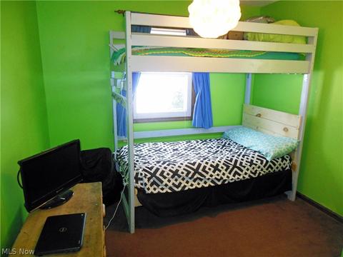 1175 Maple Ave, Madison, OH 44057 photo 10