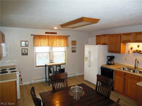 1175 Maple Ave, Madison, OH 44057 photo 5