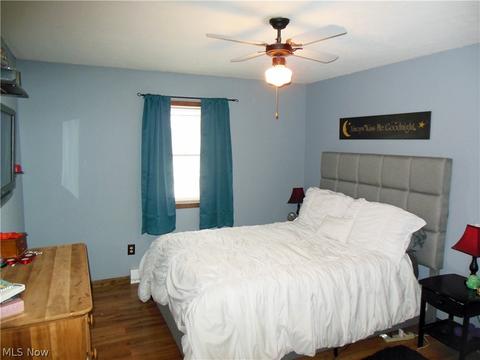 1175 Maple Ave, Madison, OH 44057 photo 7