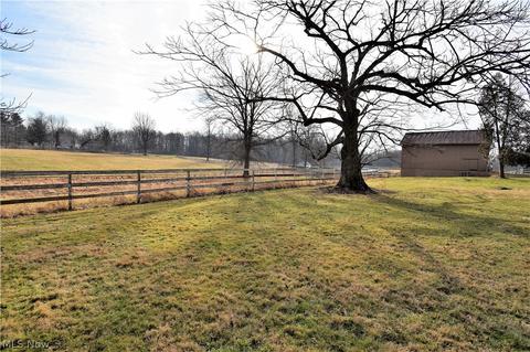 1393 Mount Everett Rd, Hubbard, OH 44425 photo 4