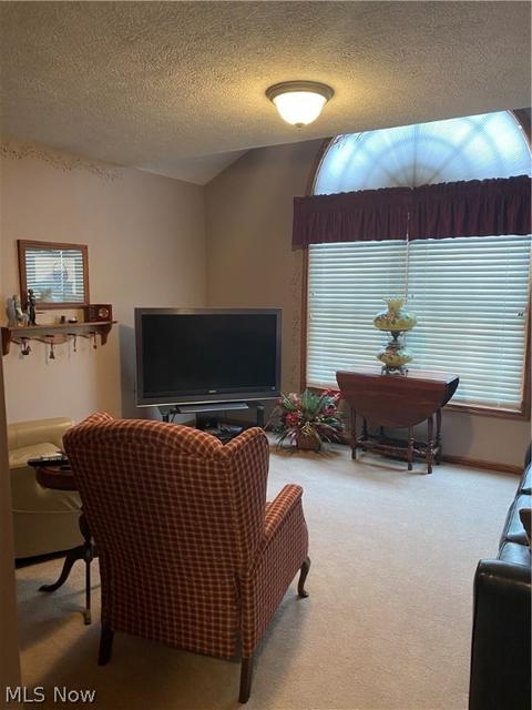 1718 Warrick Dr, Saybrook, OH 44004 photo 27