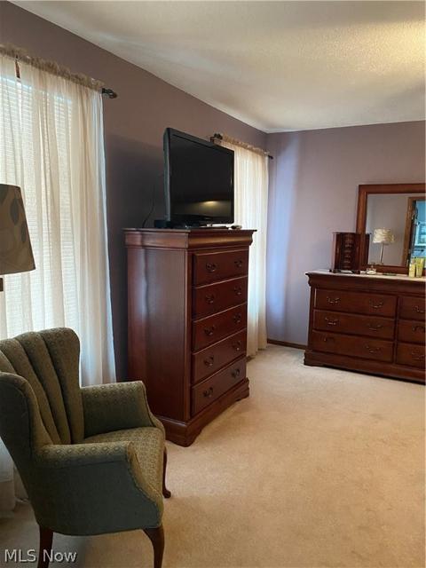 1718 Warrick Dr, Saybrook, OH 44004 photo 23