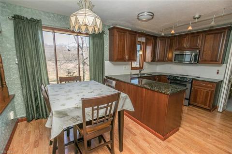 6969 Carol Dr, Independence, OH 44131 photo 11