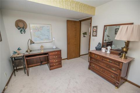 6969 Carol Dr, Independence, OH 44131 photo 16