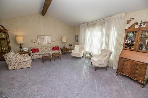 6969 Carol Dr, Independence, OH 44131 photo 5