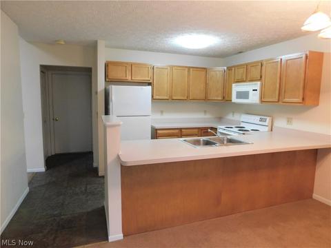1426 Loop Rd, Kent, OH 44240 photo 10