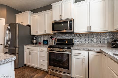 8620 Baker Ave, Mentor, OH 44060 photo 10