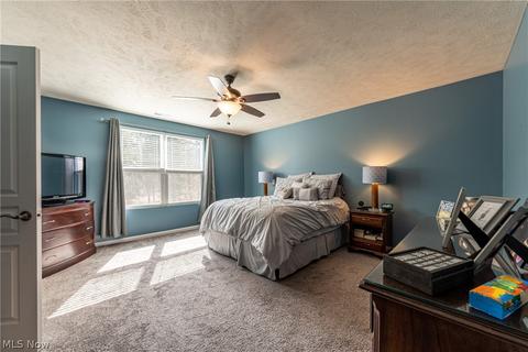 8620 Baker Ave, Mentor, OH 44060 photo 14
