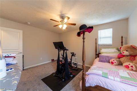8620 Baker Ave, Mentor, OH 44060 photo 23