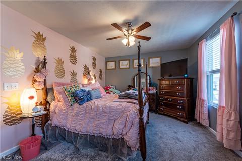 8620 Baker Ave, Mentor, OH 44060 photo 22