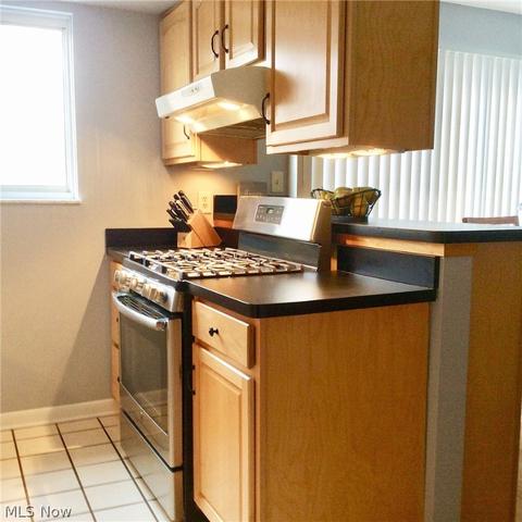 9635 Ryan Dr, Mentor, OH 44060 photo 6