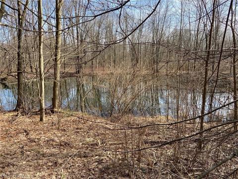 15811 Rapids Rd, Burton, OH 44021 photo 29