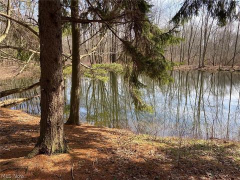 15811 Rapids Rd, Burton, OH 44021 photo 28