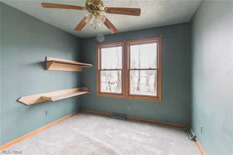 4425 Elberta Rd, Perry, OH 44081 photo 11