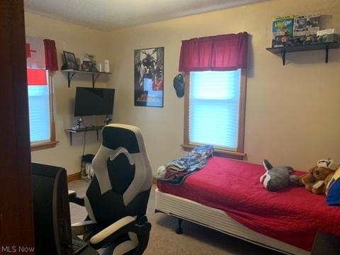 1402 Union Ave, Ashtabula, OH 44004 photo 8