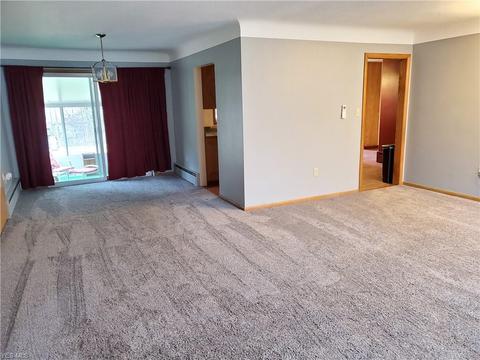 696 Talltrees Dr, Ashtabula, OH 44004 photo 7