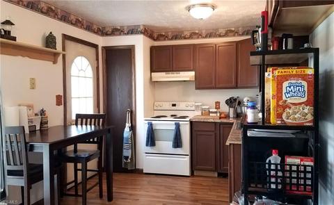 8072 Thomas Rd, Lisbon, OH 44432 photo 8