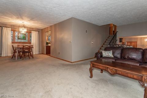 223 Square Dr, Madison, OH 44057 photo 15
