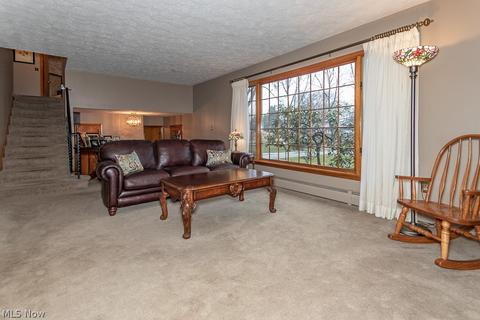223 Square Dr, Madison, OH 44057 photo 14