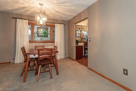 223 Square Dr, Madison, OH 44057 photo 6