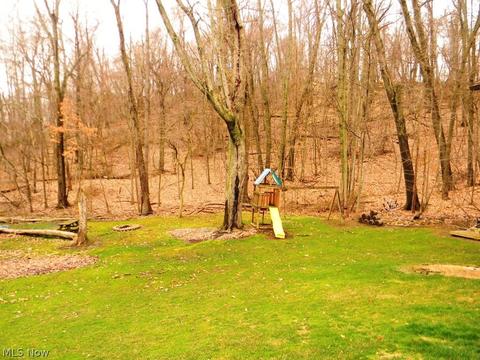 154 E Mohawk Dr, Malvern, OH 44644 photo 3