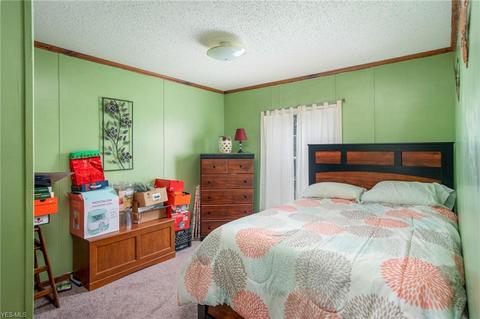 25100 Hartley Rd, Beloit, OH 44609 photo 23
