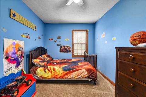 264 Roosevelt Ave, Elyria, OH 44035 photo 23