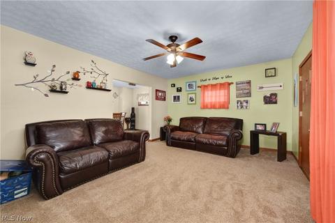 264 Roosevelt Ave, Elyria, OH 44035 photo 5