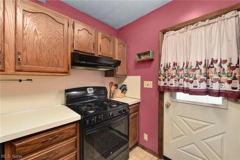 264 Roosevelt Ave, Elyria, OH 44035 photo 8