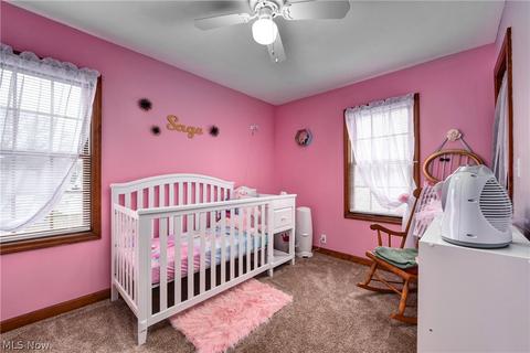 264 Roosevelt Ave, Elyria, OH 44035 photo 21