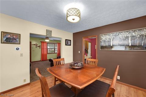 264 Roosevelt Ave, Elyria, OH 44035 photo 14
