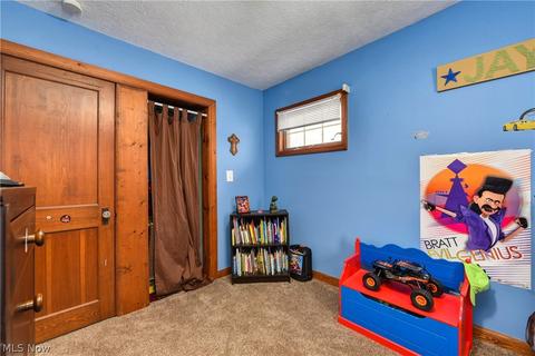 264 Roosevelt Ave, Elyria, OH 44035 photo 24