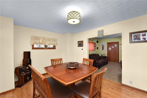 264 Roosevelt Ave, Elyria, OH 44035 photo 13