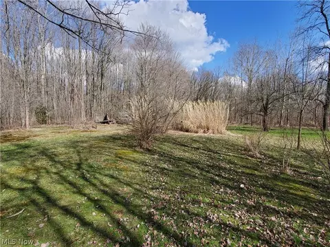 8602 Freedom Rd, Windham, OH 44288 photo 33