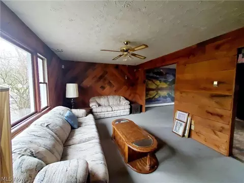 8602 Freedom Rd, Windham, OH 44288 photo 7