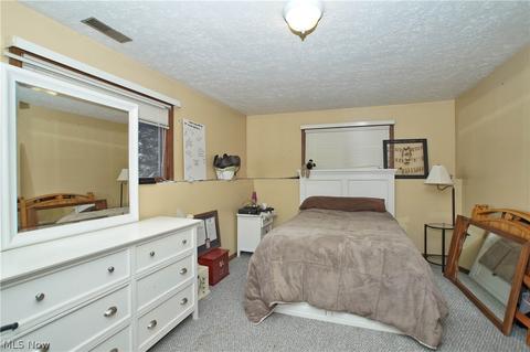 2880 Narrows Rd, Perry, OH 44081 photo 23