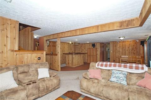 2880 Narrows Rd, Perry, OH 44081 photo 15